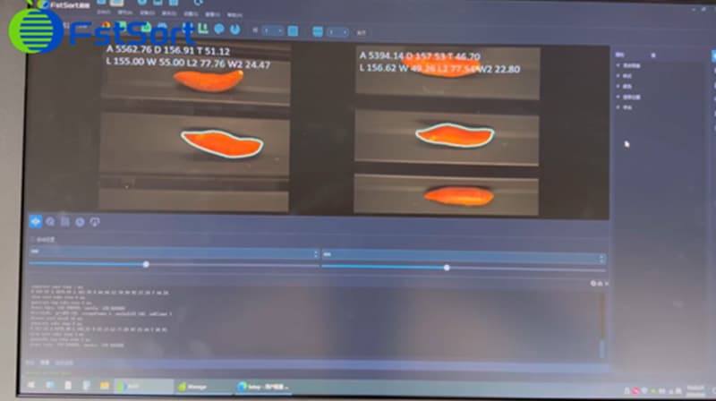 images/1723535286402Línea de clasificación óptica de batatas.jpg